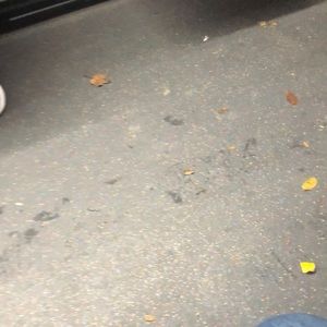 Meet your Posher, Debra